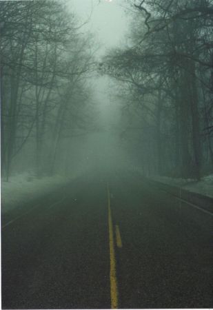 Dense fog settles along a country road outside of Chelsea, Michigan (1989).
Daryl  Johnson
17 Feb 2012