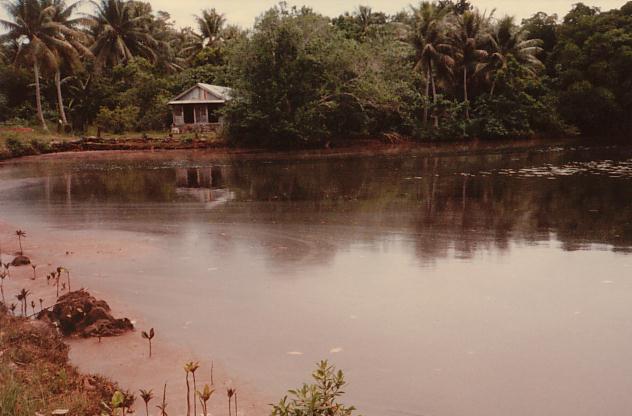 Jeff  Hicks Alumni Photo