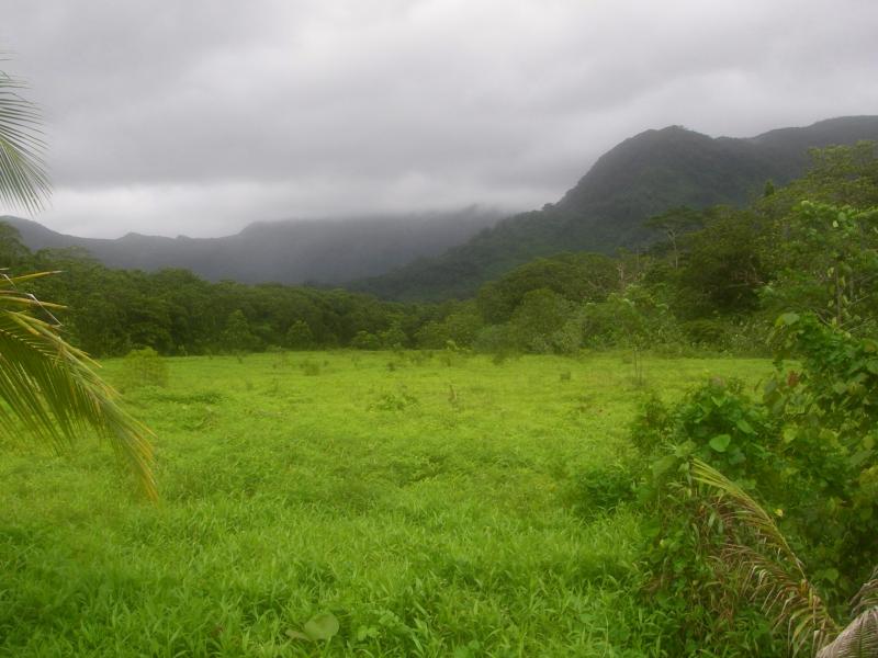 Kitti, Pohnpei
BRANDON THOMAS LINDLEY
01 Jan 2007