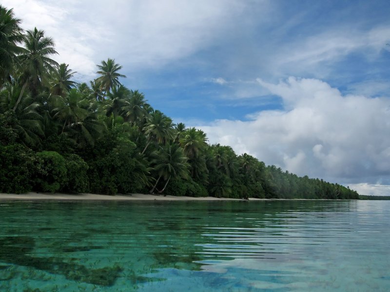 Ant Lagoon, Pohnpei
BRANDON THOMAS LINDLEY
01 Jan 2007