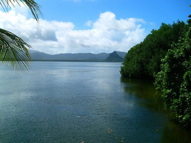 View of the ocean, mangrove and mountains in Madolenihm
BRANDON THOMAS LINDLEY
22 Jul 2007