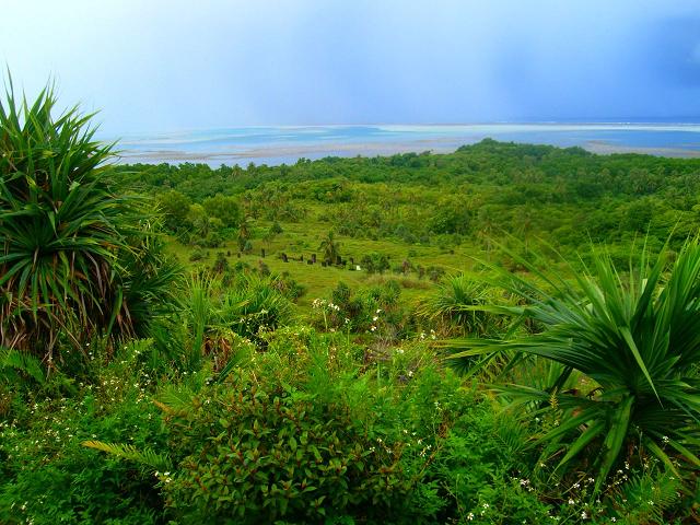 View of the Stone Face Monoliths
BRANDON THOMAS LINDLEY
22 Jul 2007