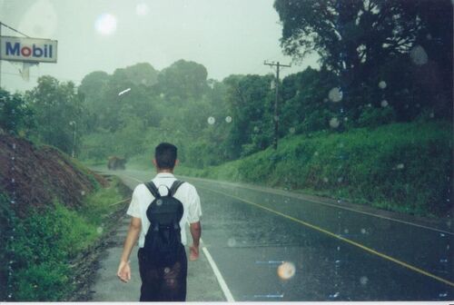 Elder Milton Timoteo and another beautiful Kitti day.
Ryan Allen Saunders
05 Feb 2013