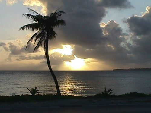 Sunset
Angie Price
12 Jul 2001