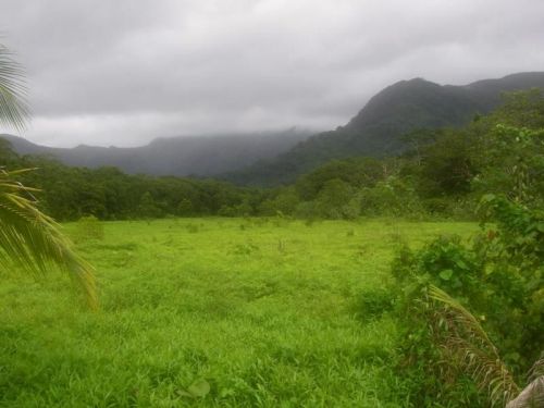 Kitti, Pohnpei
BRANDON THOMAS LINDLEY
01 Jan 2007