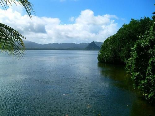 View of the ocean, mangrove and mountains in Madolenihm
BRANDON THOMAS LINDLEY
22 Jul 2007