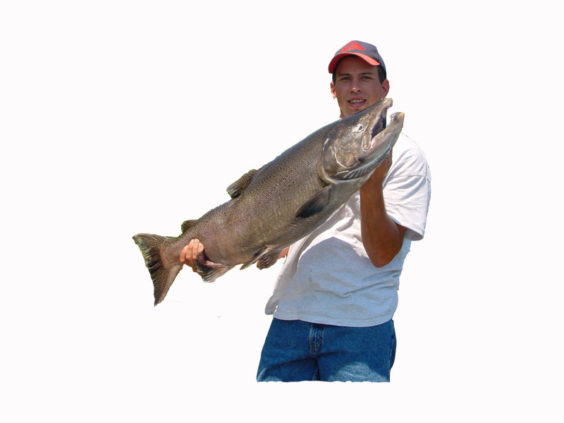 Jason Richard Morgan Alumni Photo