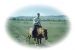 Title: Horse ride near Erden Zuu