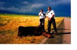 What Elder Riggs never knew about mission cars. just kidding partner
Justin J Olson
16 Jul 2003