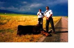 What Elder Riggs never knew about mission cars. just kidding partner
Justin J Olson
16 Jul 2003
