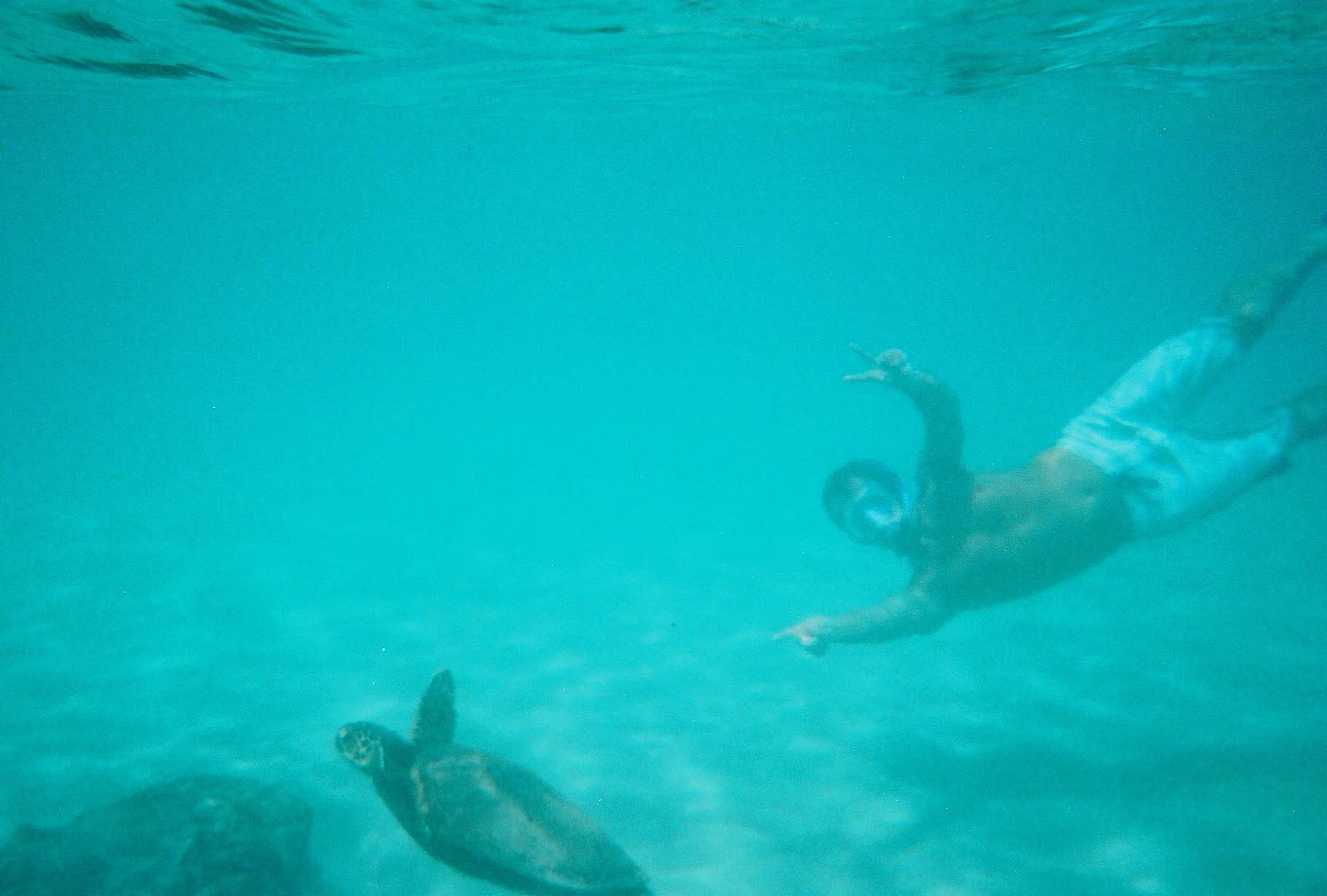 Dustin  Topham Alumni Photo