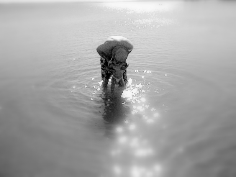 Richard F Kennard Alumni Photo