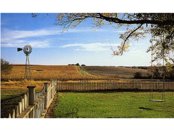 Soft Summer Afternoon
Joan Foreman
06 Oct 2003