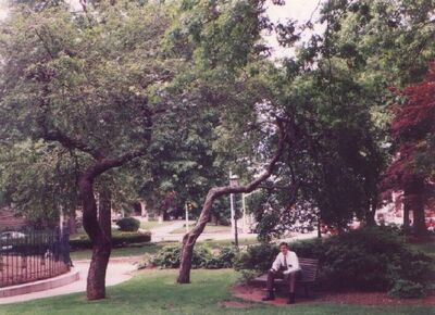 A beautiful summer day in the middle of Morristown.
Jacob  Egbert
16 Jun 2004