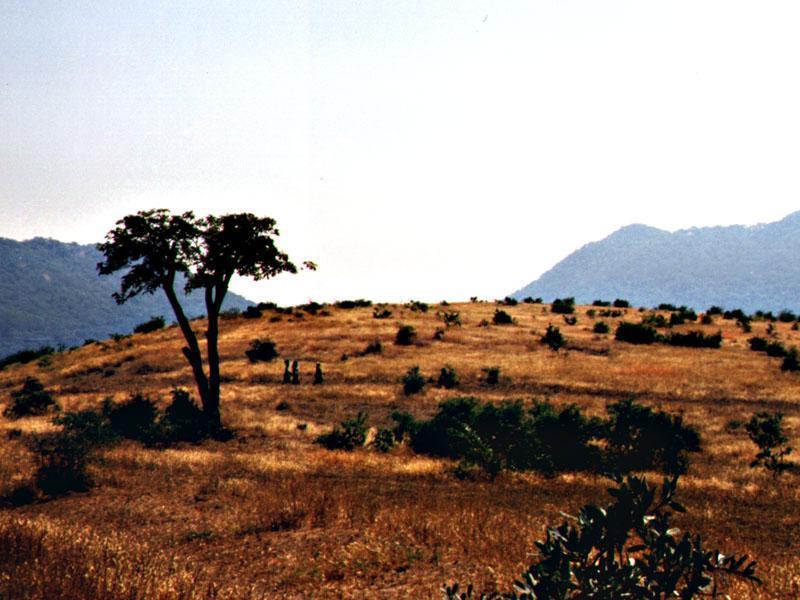 Nigeria
Andrew U. Ikponmwonba
21 Aug 2002