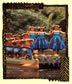 That's me dancing in the PCC In Hawaii.....
Ramona F Tupuga
07 Oct 2002