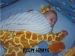 Title: Liam Ezra Buchanan II