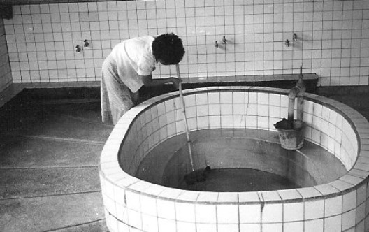 Japanese Public Bath
Webmaster Wayne
27 Apr 2008