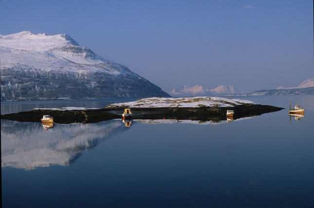 Ulvsvag
Grant Fielding Stoddard
04 Aug 2006