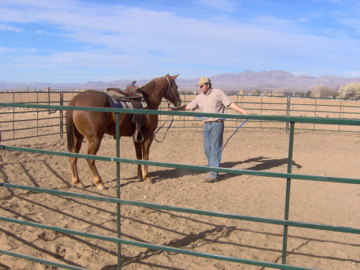 D. Patrick Lee Working a horse 2-2006
D. Patrick  Lee
19 Sep 2006