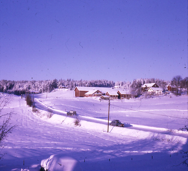 Winter scene of Hamar during winter of 1970.  Road led up to our apartment.
Stephen Allan Wilhite
06 Nov 2008