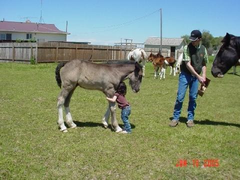 Cole Bruce Packard Foto