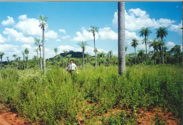 this is for the futures missionary, so that they are inspired
Alex Javier De los Santos
06 Oct 2003