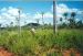Título: paraguay al aire libre