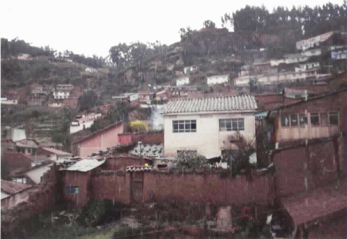 Casas en el cerro- urb. Tawantinsuyo ca. de Junio 1999
Michael J. Goble
23 Jan 2002