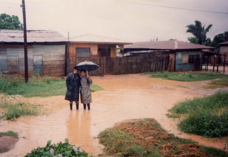 Proselitando con Elder Tipismana en una de las calles de mi area en Pucallpita. Ni la lluvia nos paro de salir al campo.
Carlos  Cruzate
28 Apr 2005
