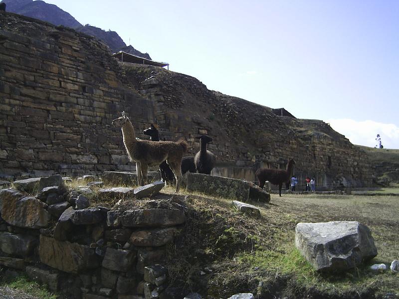 Camino a Chavín de Huanta
Liliana Raquel Puma Dilts
17 Sep 2006