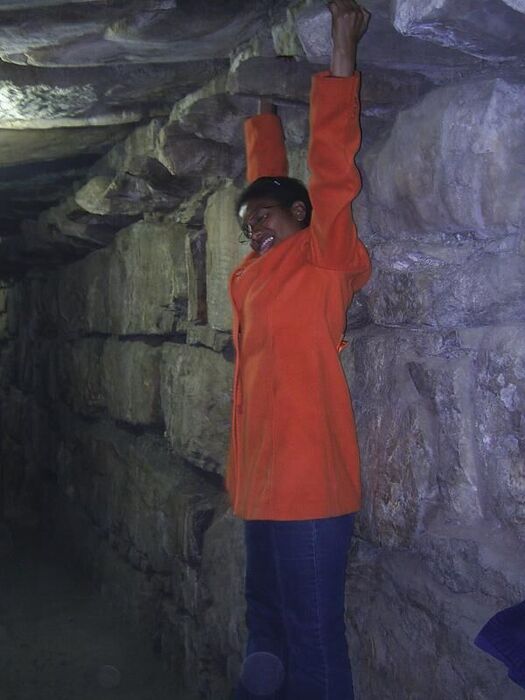 Chavín de Huanta
Liliana Raquel Puma Dilts
17 Sep 2006