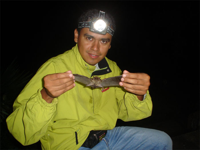 Proyecto Vida Silvestre
Harold  Gonzales
22 Oct 2008