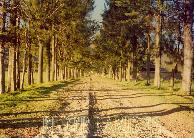 El CAMINO RECTO hacia la Colpa...¿Lo recuerdan?. De seguro que él si.
Carlos Enrique Felipe Ramírez Sequeiros
10 Mar 2006