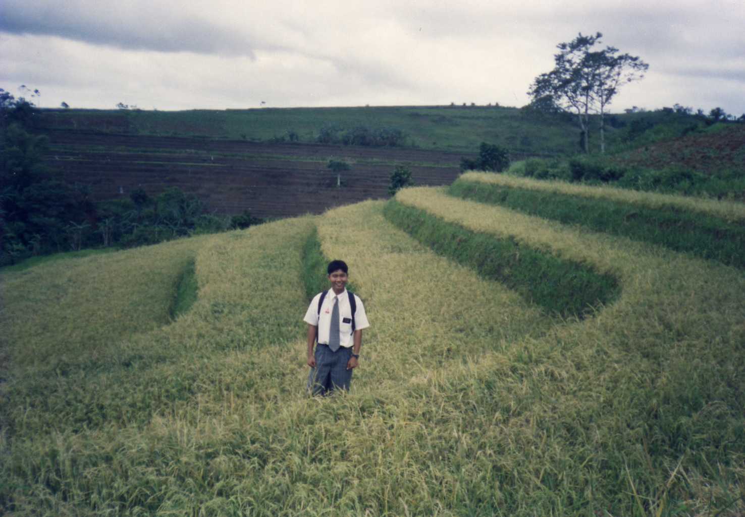 rice field at Kabagatasan, an area under canlaon
Elgin Ausejo Topacio
09 Jul 2007