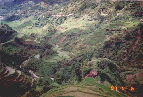 Banaue Rice Terraces (taken by David Bleazard)
Joel Longhurst & Matthew Blake
16 Oct 2003