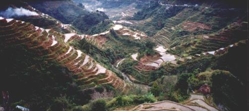 Banaue Rice Terraces (taken by David Bleazard)
Joel Longhurst & Matthew Blake
16 Oct 2003