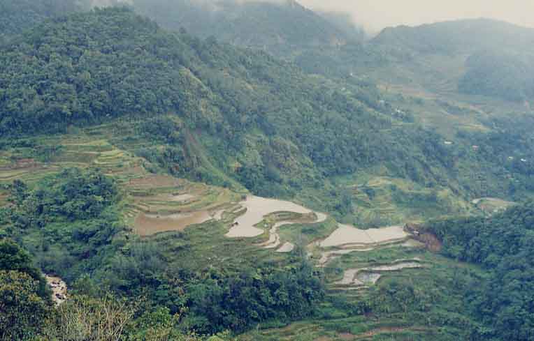Banaue Rice Terraces (taken by Josh Gleason)
Joel Longhurst & Matthew Blake
16 Oct 2003