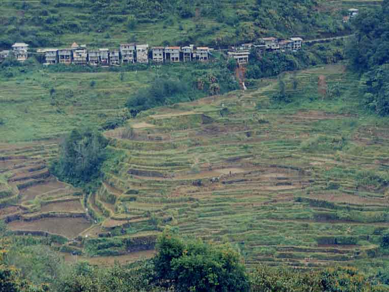 Banaue Rice Terraces (taken by Josh Gleason)
Joel Longhurst & Matthew Blake
16 Oct 2003