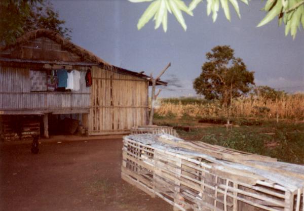 House in Echague Barrios
Joel Longhurst & Matthew Blake
17 Oct 2003