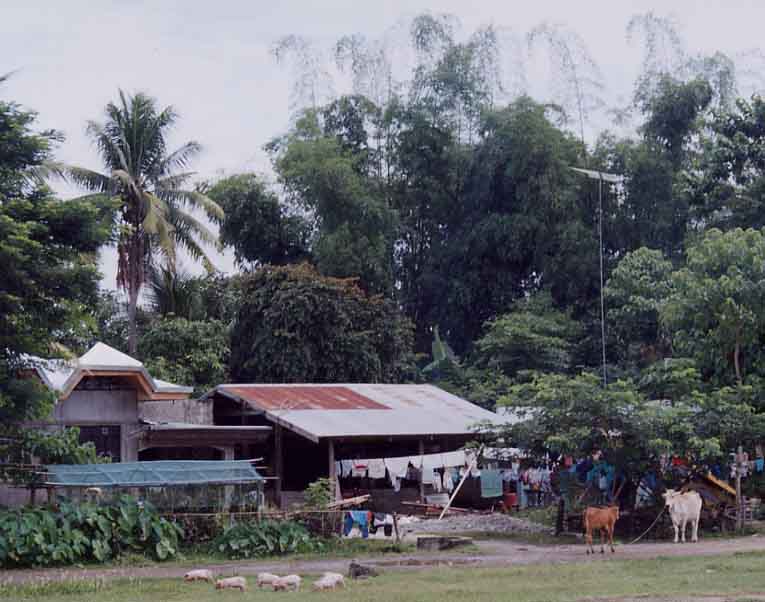 Catabban Home (Josh Gleason)
Joel Longhurst & Matthew Blake
17 Oct 2003