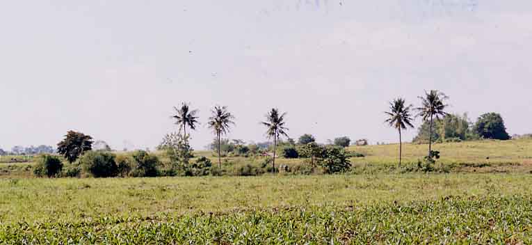 Oasis in Catabban (Josh Gleason)
Joel Longhurst & Matthew Blake
22 Oct 2003