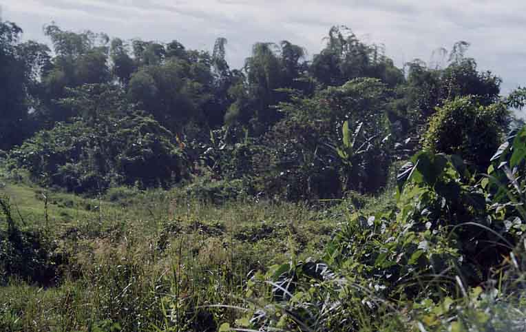 Catabban Scene 3 (Josh Gleason)
Joel Longhurst & Matthew Blake
22 Oct 2003