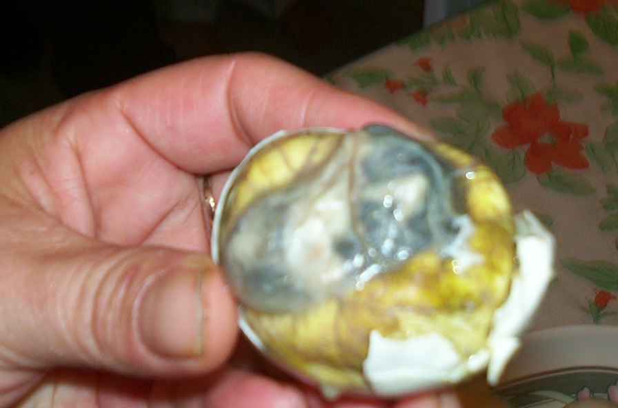 Balut
Bryson Tanner Green
23 Mar 2004
