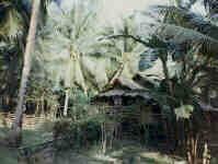 Nipa Hut in the mountains above Calubi-an, Leyte
Mike Merkley
23 Nov 2002