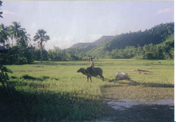 I couldn't pass up this picture while hiking through the bukid to one of our investigators in Alang-Alang Leyte, I belive it was me (Elder Prince and my Trainer Elder Leon)
David Cameron Prince
01 Aug 2006