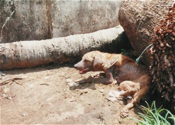 Things you don't see in the USA
Todd  Manion
02 Apr 2003