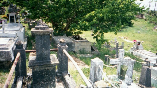 The greatest attraction in Hatillo!
Robert Todd Kendell
03 Mar 2004