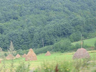 Submitted by Wayne Goates
Brandon Jensen
21 Oct 2002