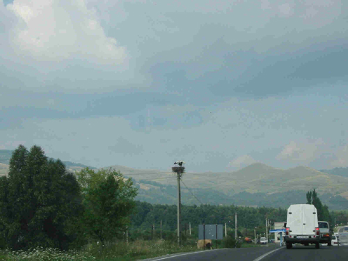 Submitted by Wayne Goates
Brandon Jensen
22 Oct 2002